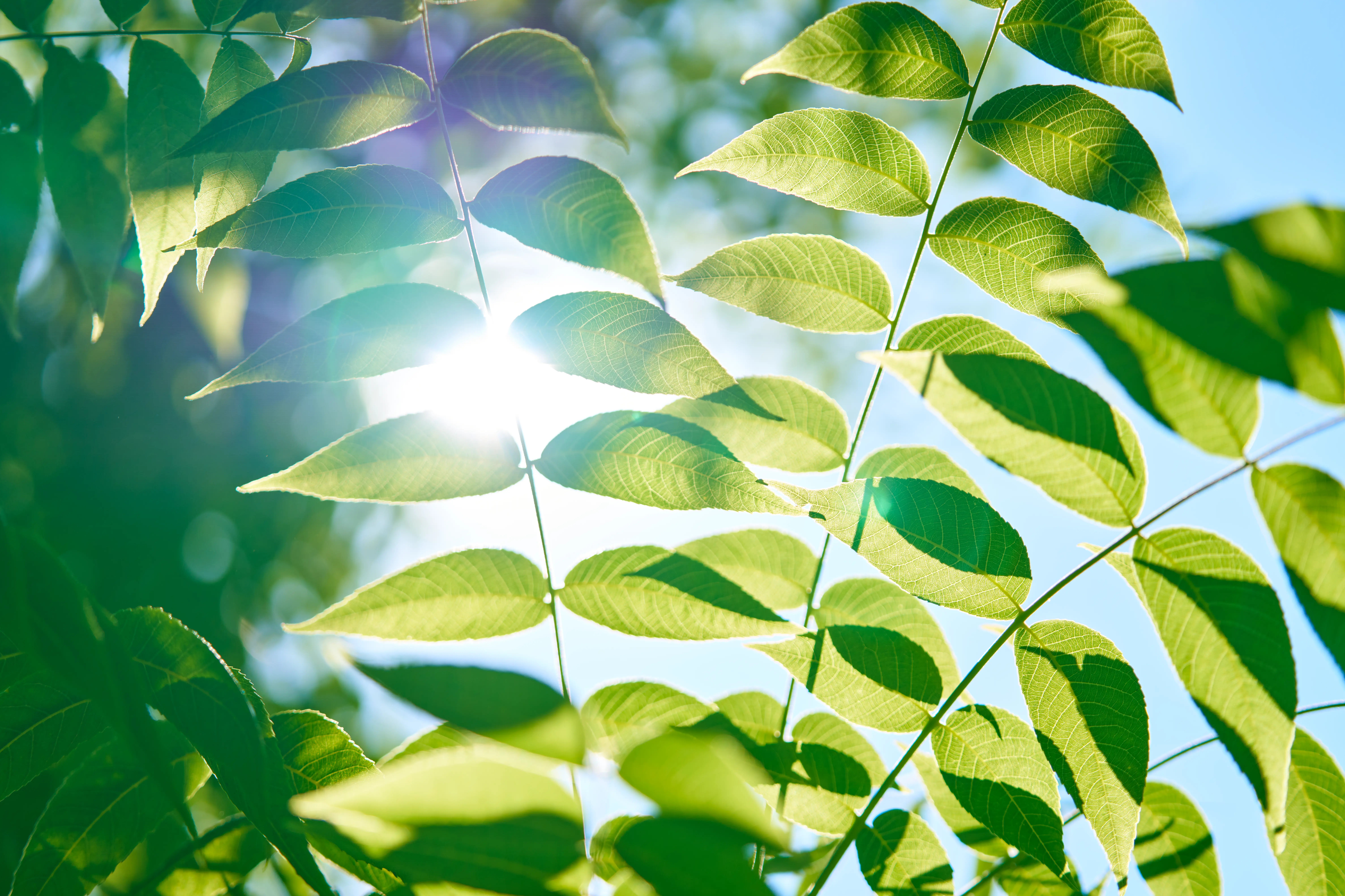 Langetermijnherstel welzijn