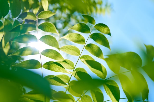 Gepersonaliseerd gezondheidsconsult