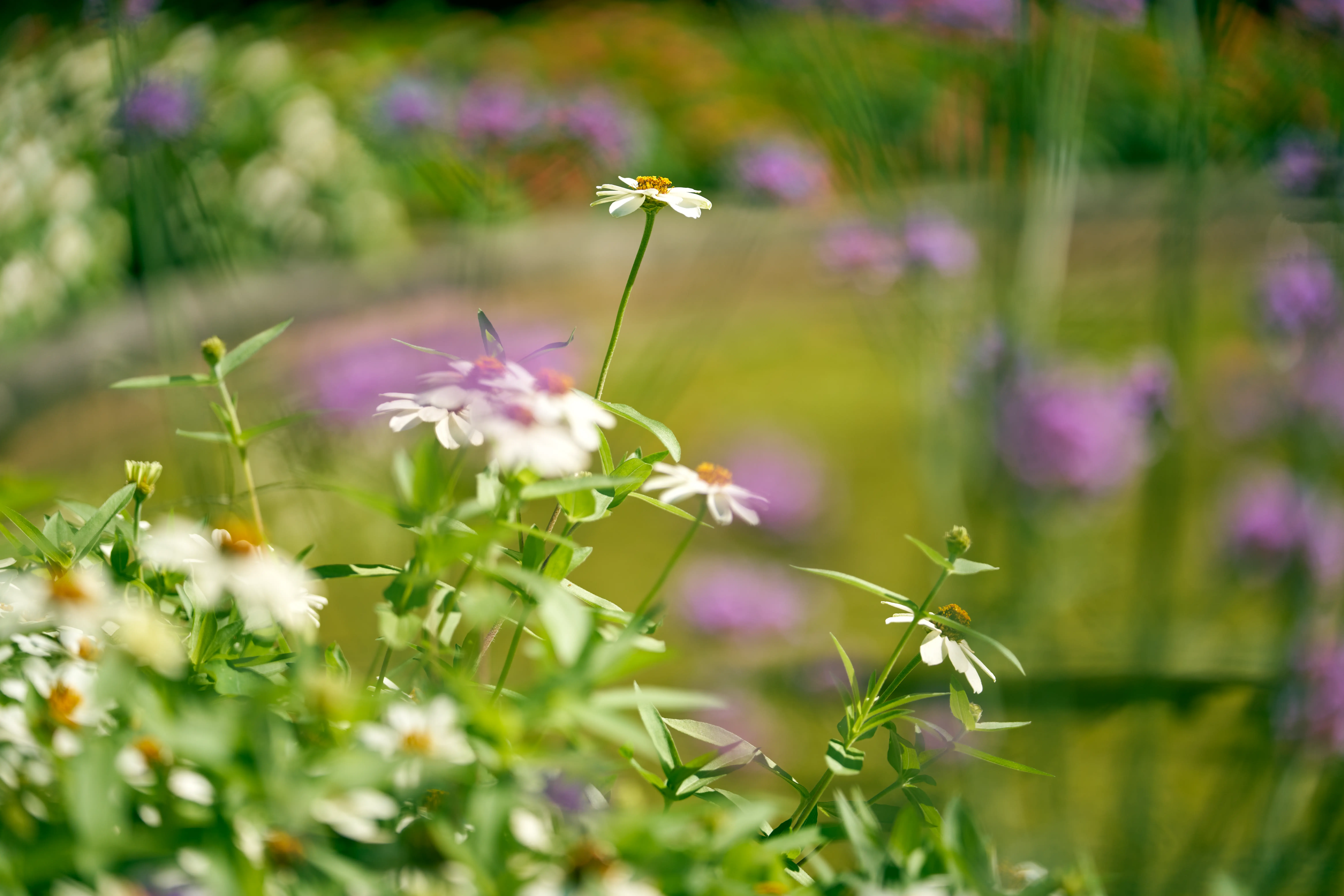 Geest, lichaam en ziel behandelingsaanpak