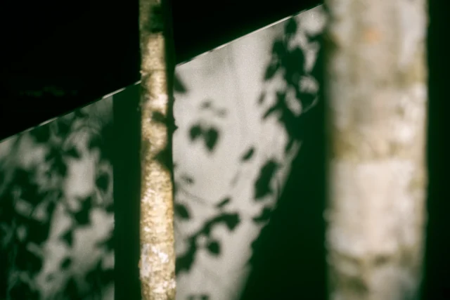 Ultramoderne behandelfaciliteit