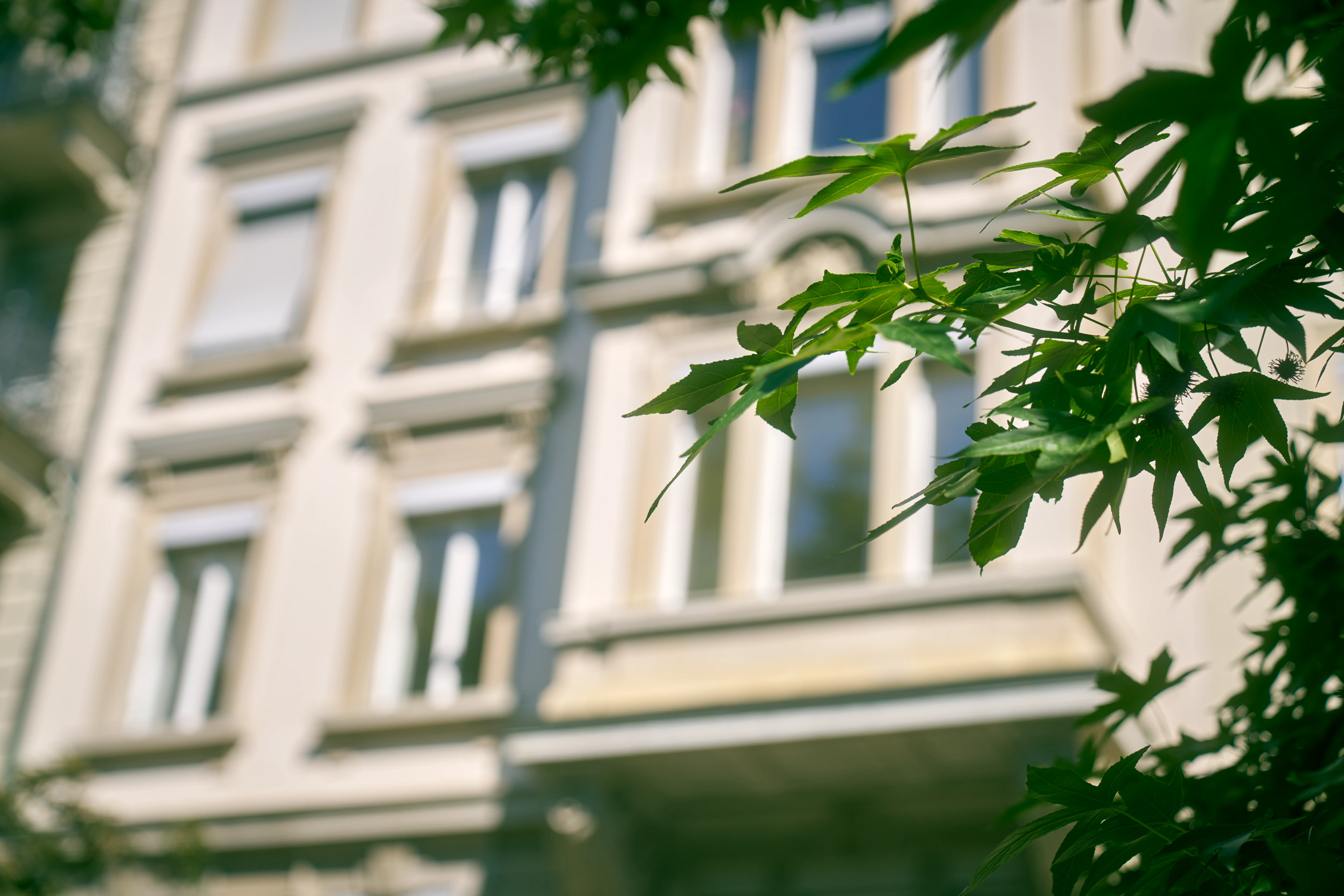 Cliëntconsultatie sessie