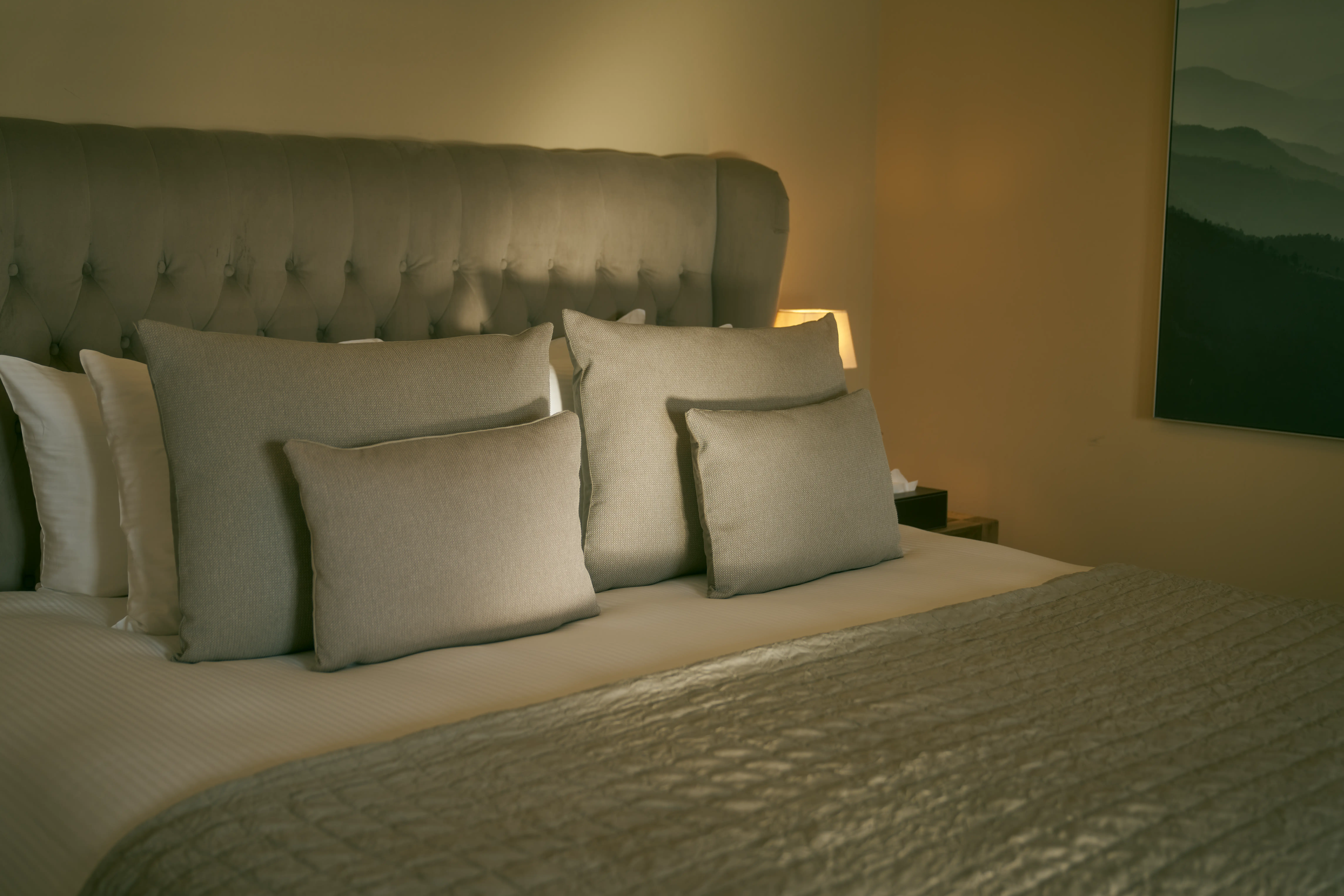 Luxe behandelkamer bij Paracelsus Recovery voor plotseling rijkdomsyndroom therapie