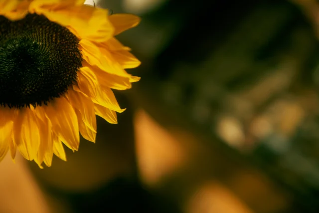 Doorlopende therapeutische ondersteuning