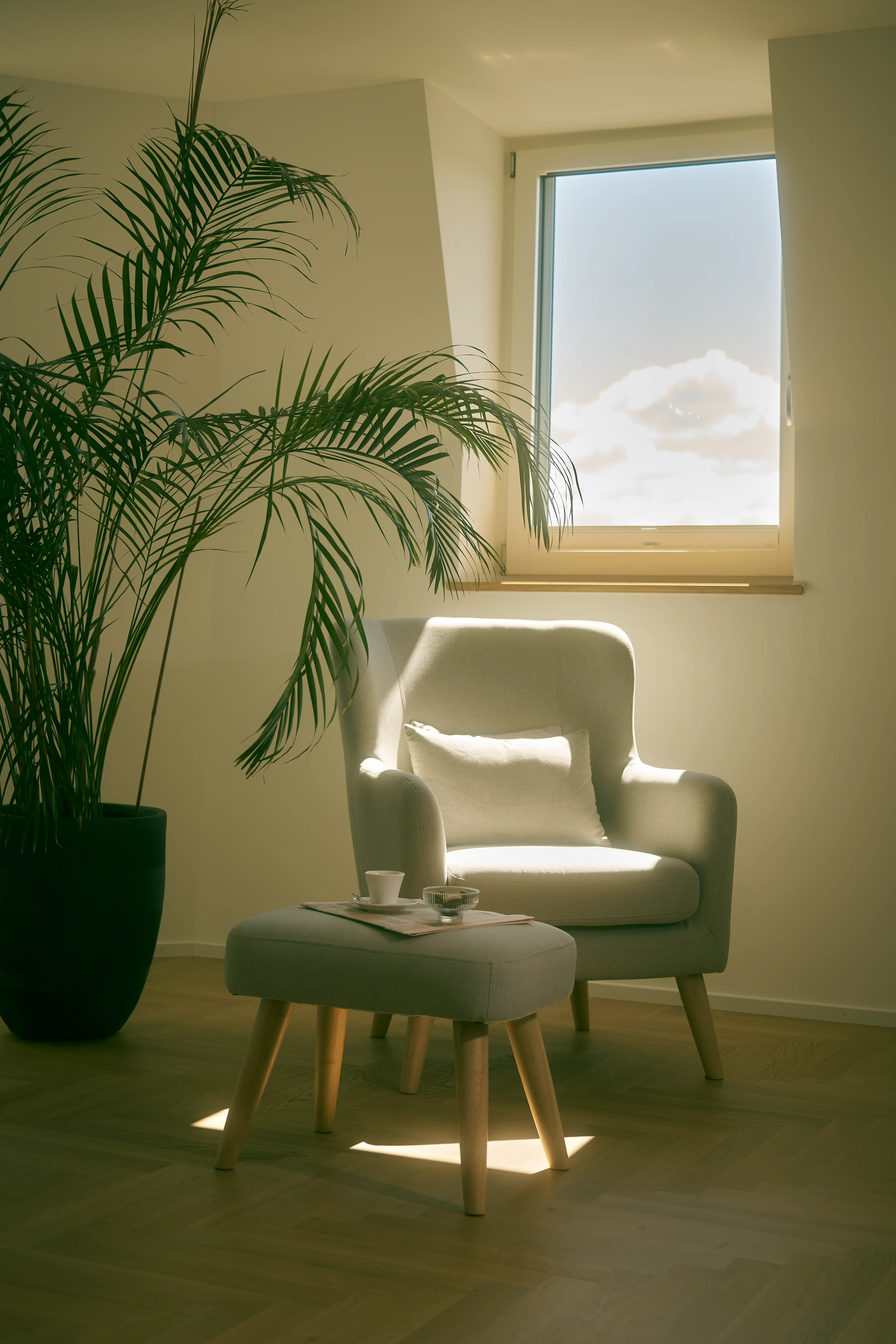 Aandoeningen die wij behandelen bij Paracelsus Recovery