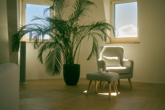 Luxe heroïneverslaving behandelomgeving bij Paracelsus Recovery