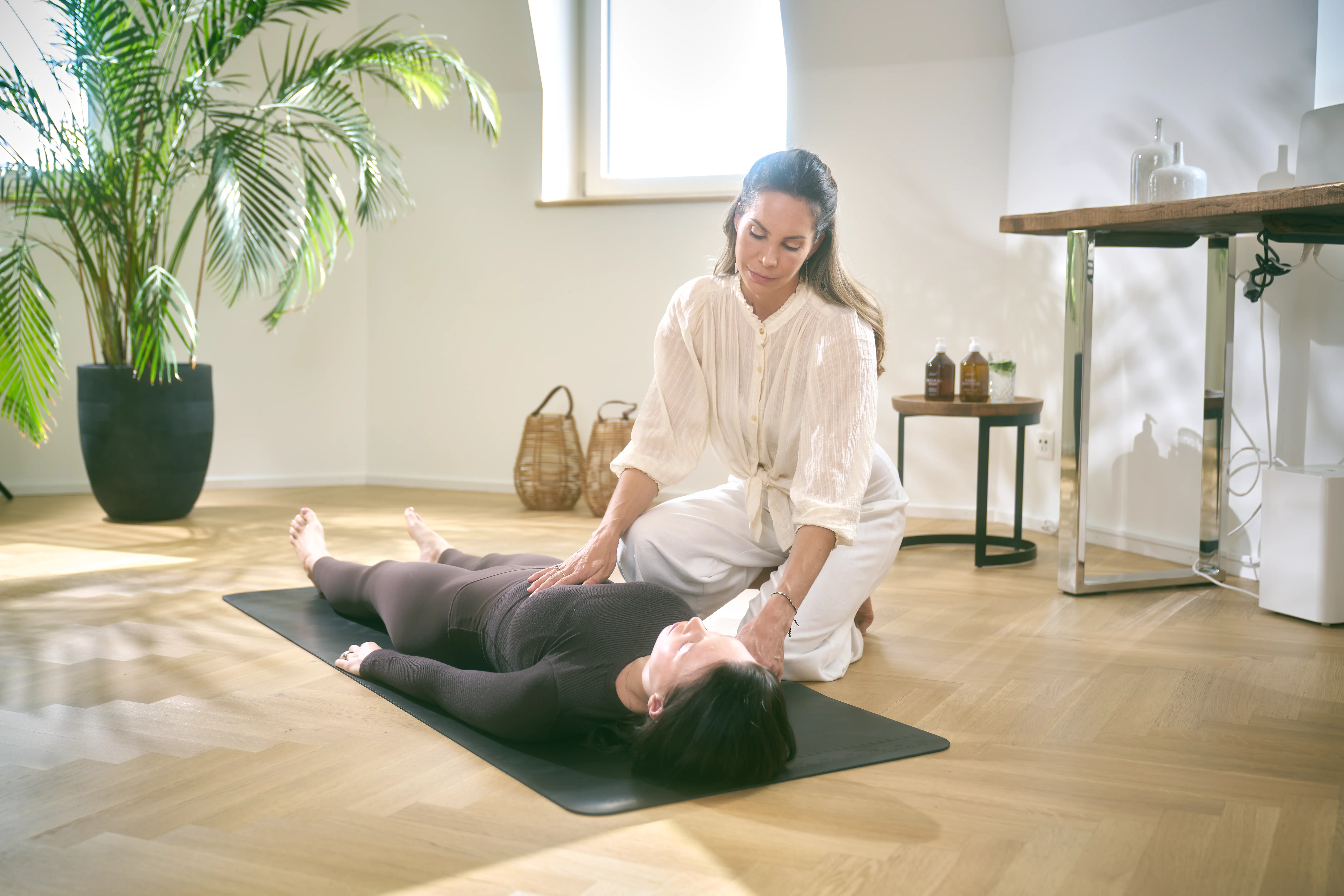 Behandeltherapieën bij Paracelsus Recovery